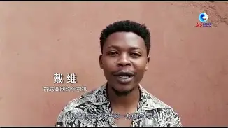 关于中国足球掀起热潮，球迷期待登上世界杯巅峰的信息